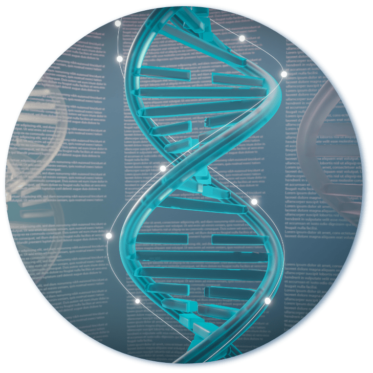 3 d representation dna