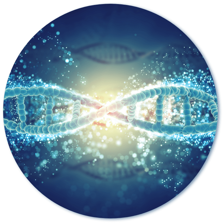 dna microscopic view